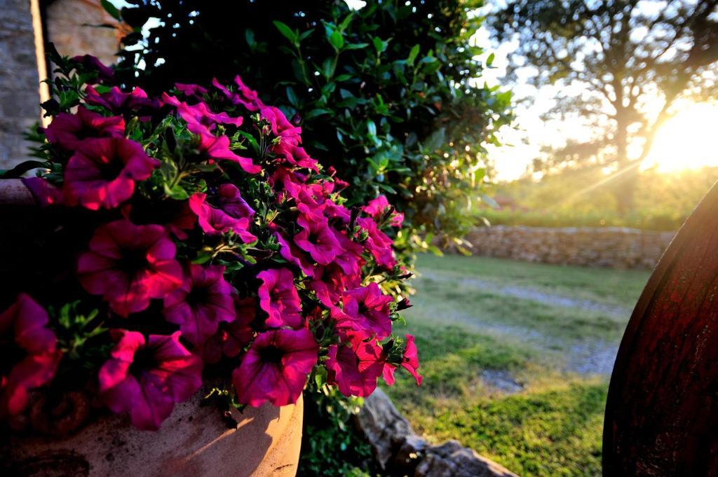 Agriturismo I Monti Семпрониано Номер фото